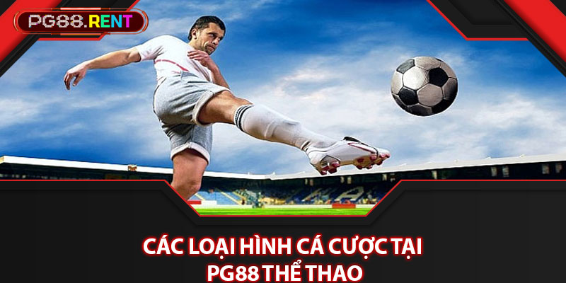 Các loại hình cá cược tại Pg88 thể thao